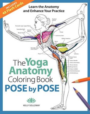 Download POSE BY POSE: THE YOGA ANATOMY COLORING BOOK | Brumby Sunstate