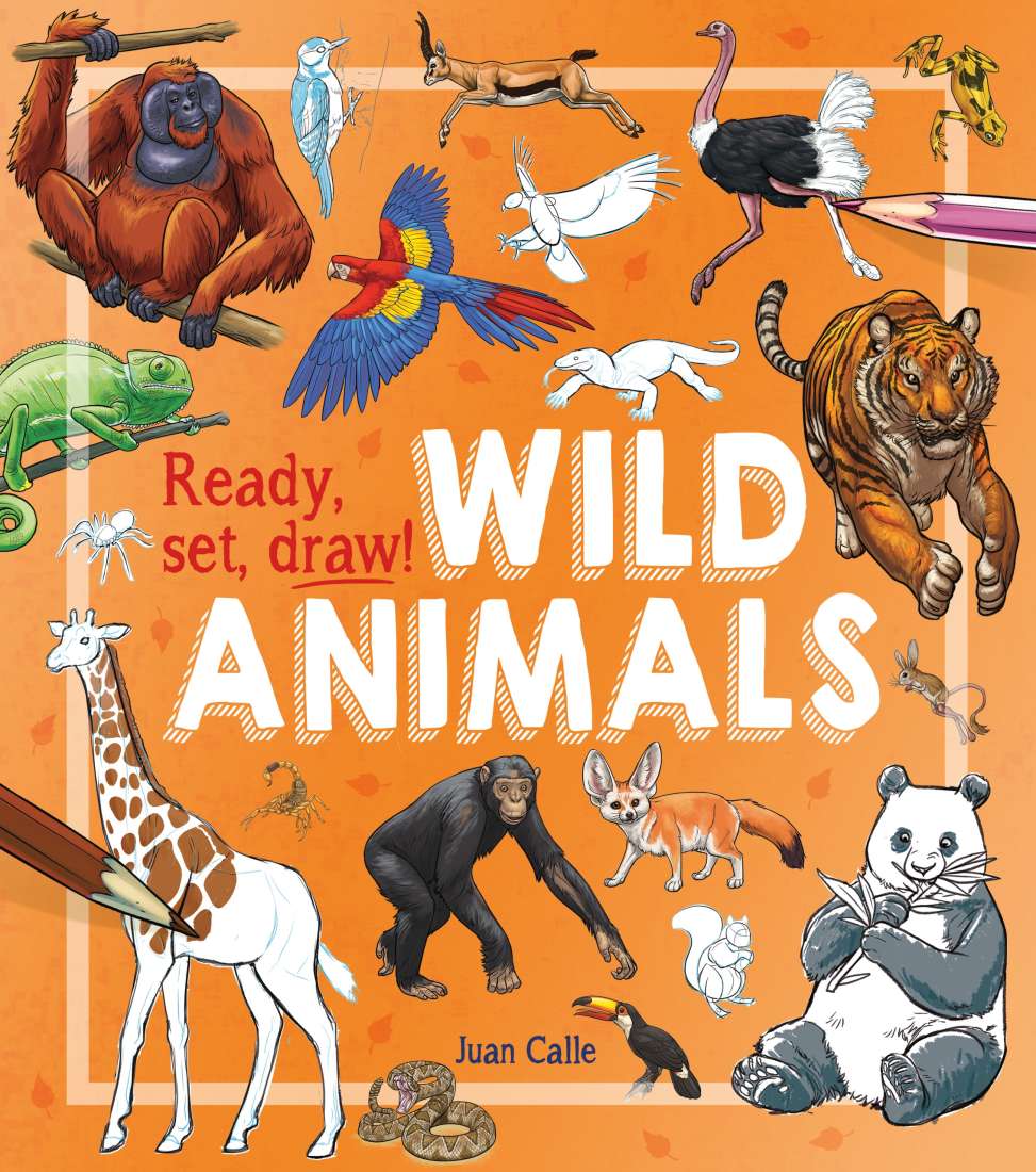 ready-set-draw-wild-animals-brumby-sunstate