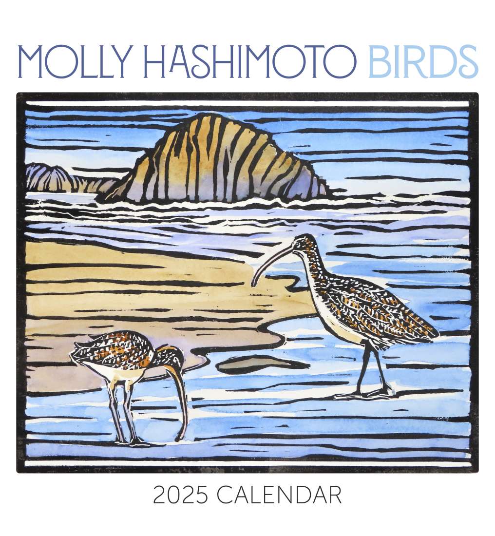 2025 MOLLY HASHIMOTO BIRDS WALL CALENDAR Brumby Sunstate
